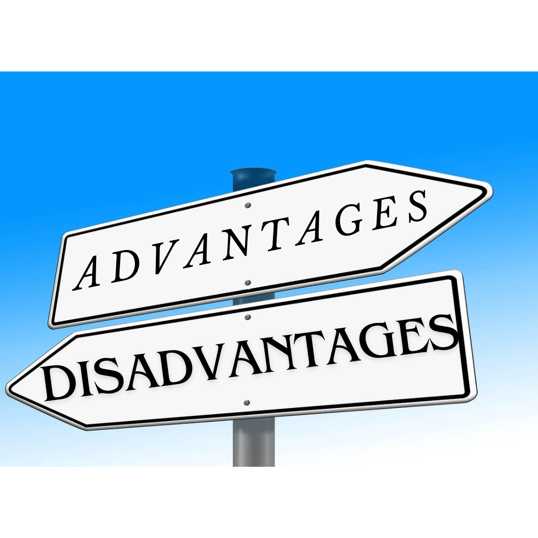 advantages disadvantages